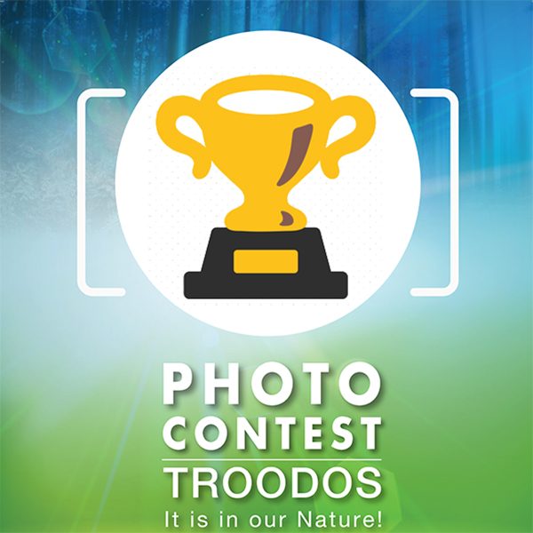 And the winners are…